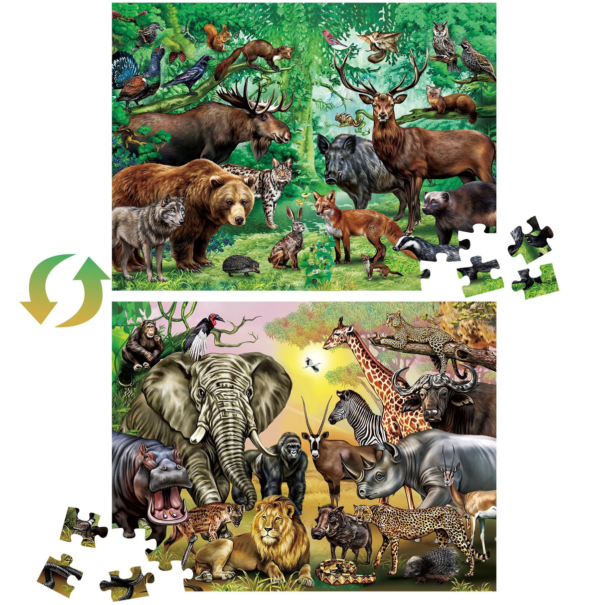 BenBen Puzzles for Kids Ages 4-6, Double Sided 100 Piece Puzzles for Kids, Wild Animals, Learning Educational Jigsaw Puzzles Toys for Boys Girls (15.75” x 11.75”) BenBen