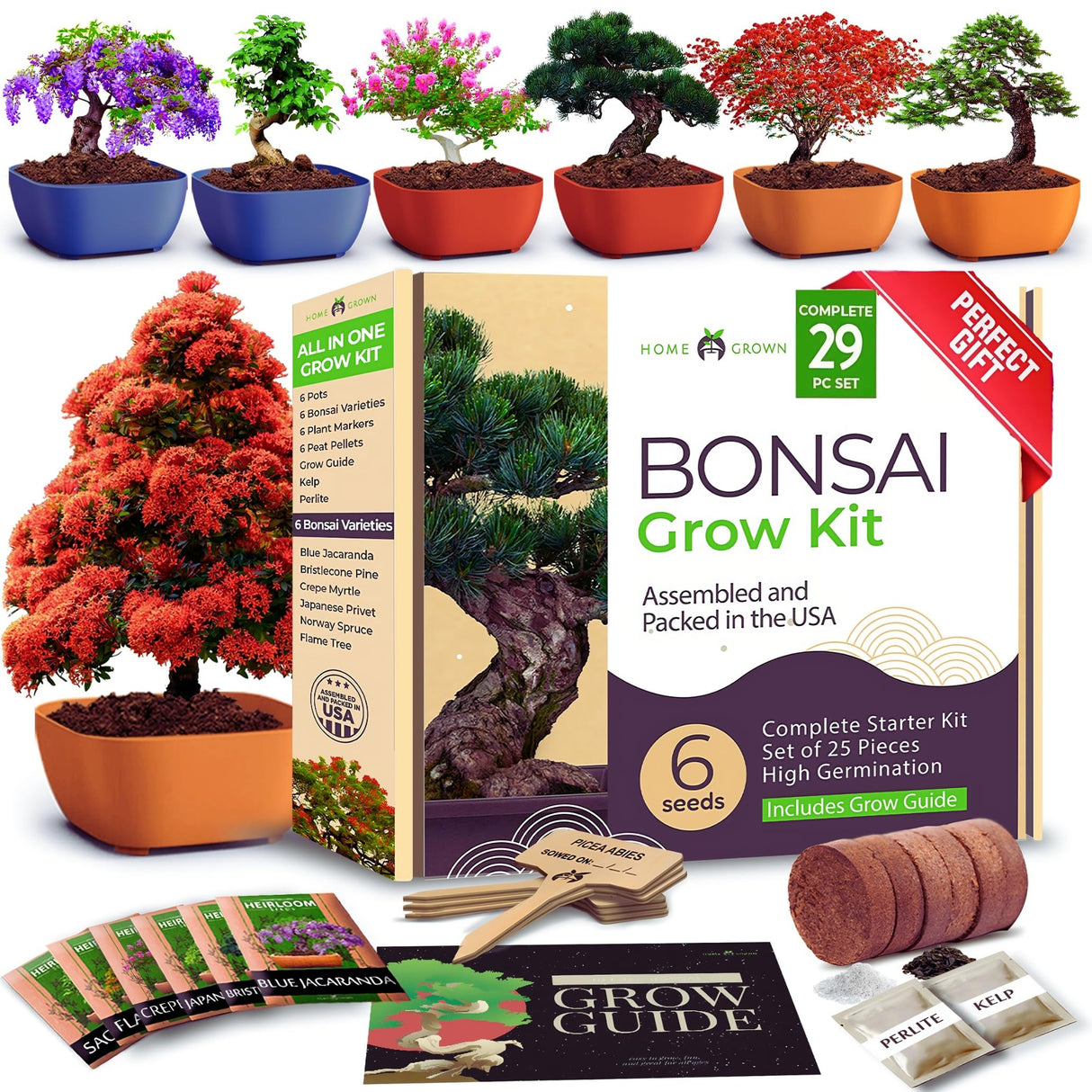 HOME GROWN Bonsai Tree Kit – 6 Heirloom Varieties with Unique Pots – DIY Bonsai Starter Kit for Adults & Beginners – Christmas Gift for Men Women Gardeners Plant Lovers – Indoor Growing Kit HOME GROWN