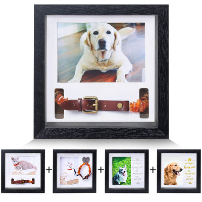 KCRasan Pet Picture Frame - Memorial Frame for Loss of Dog or Cat - Pet Collar Frame Remembrance Sympathy Keepsake