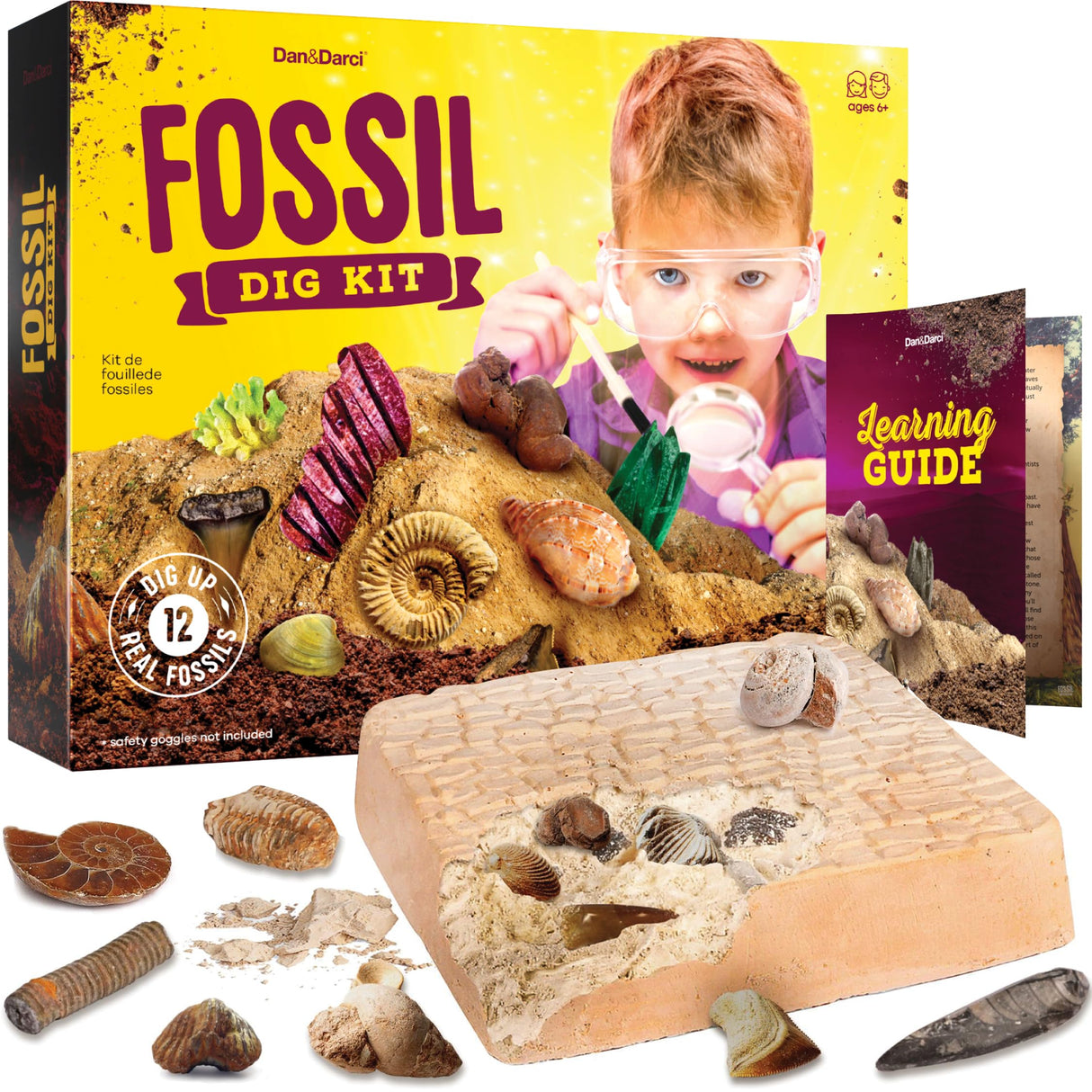 Dan&Darci Real Fossil Dig Kit for Kids - Science Kits for Boys & Girls Age 8-12 - Birthday Gift Ideas for 8, 9, 10, 11, 12 Year Old Boy or Girl - Fossils Digging STEM Toys for Ages 8-13 Dan&Darci