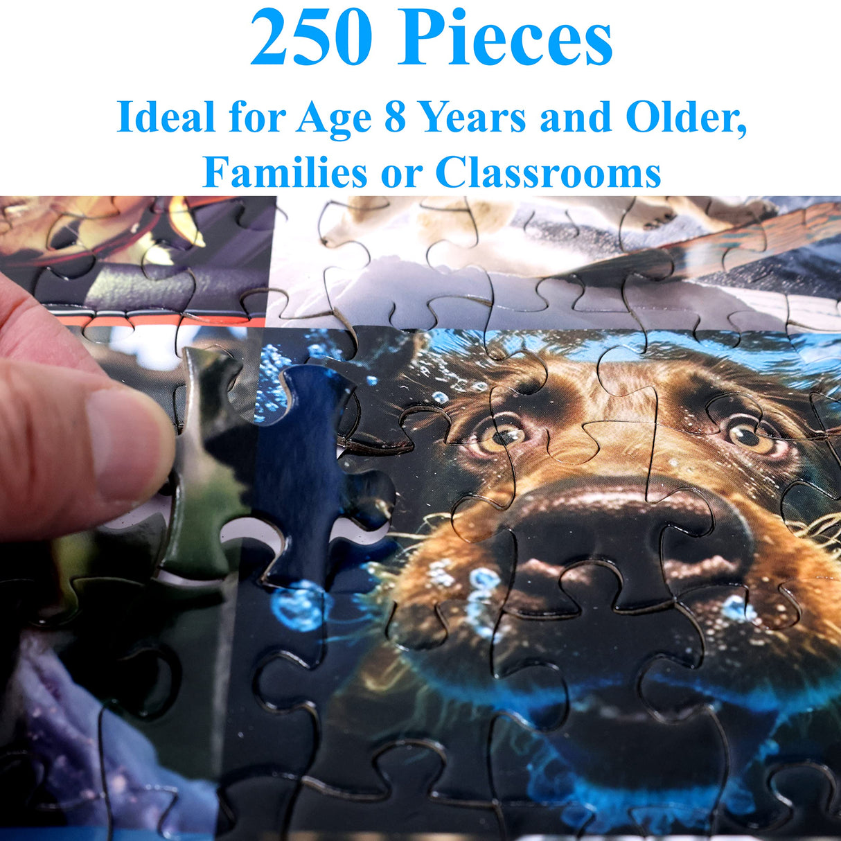 Think2Master Cute Dogs 250 Pieces Jigsaw Puzzle Featuring heartwarming Puppies and Dogs. Fun Toy for Kids, School & Families. Great Gift for Boys & Girls Ages 8+. Size: 14.2” X 19.3” THINK2MASTER