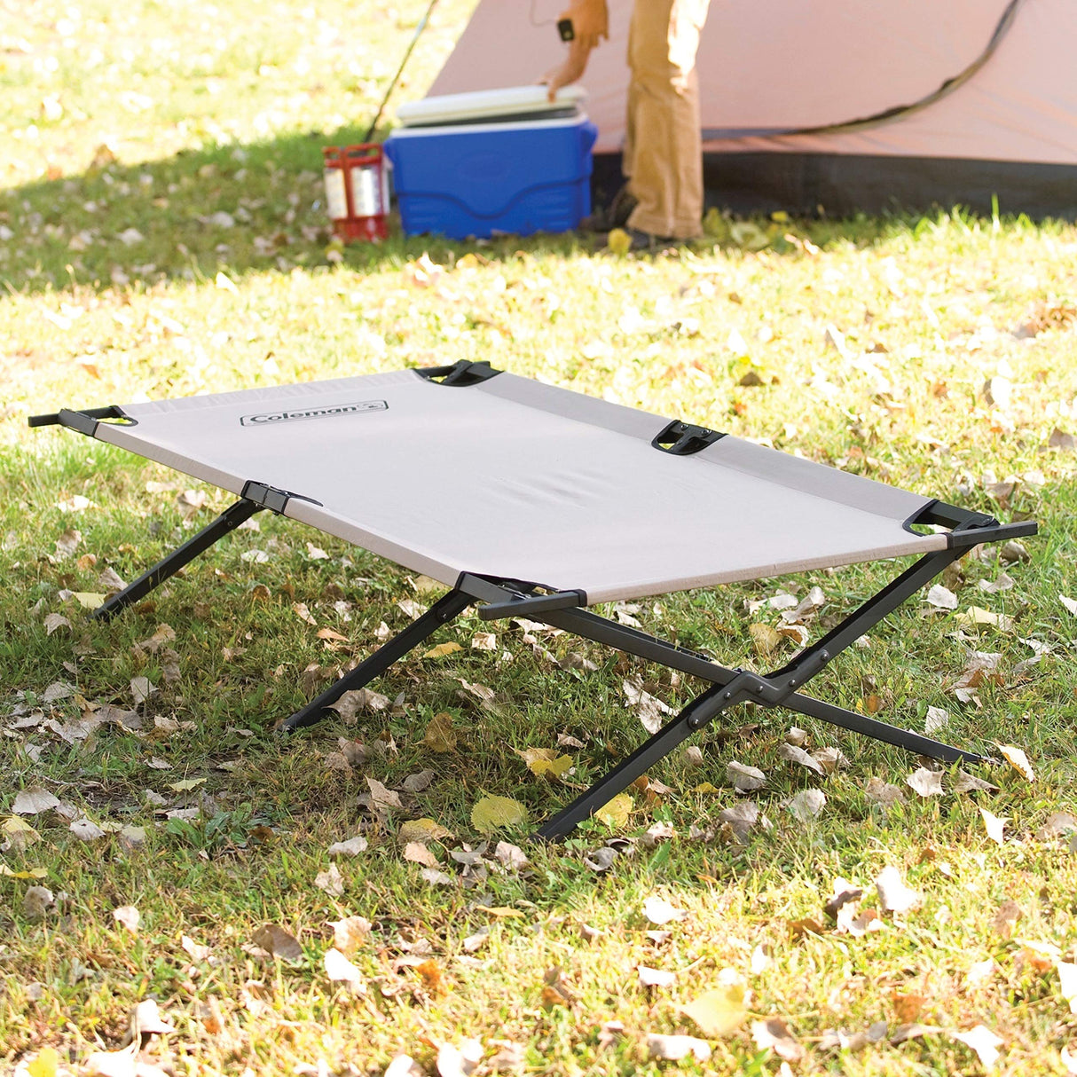 Coleman Trailhead II Large Folding Cot with Easy Setup & Takedown, Supports Adults up to 6ft 2in or 300lbs, Great for Camping, Lounging, Elevated Sleeping, Guests, & More Coleman