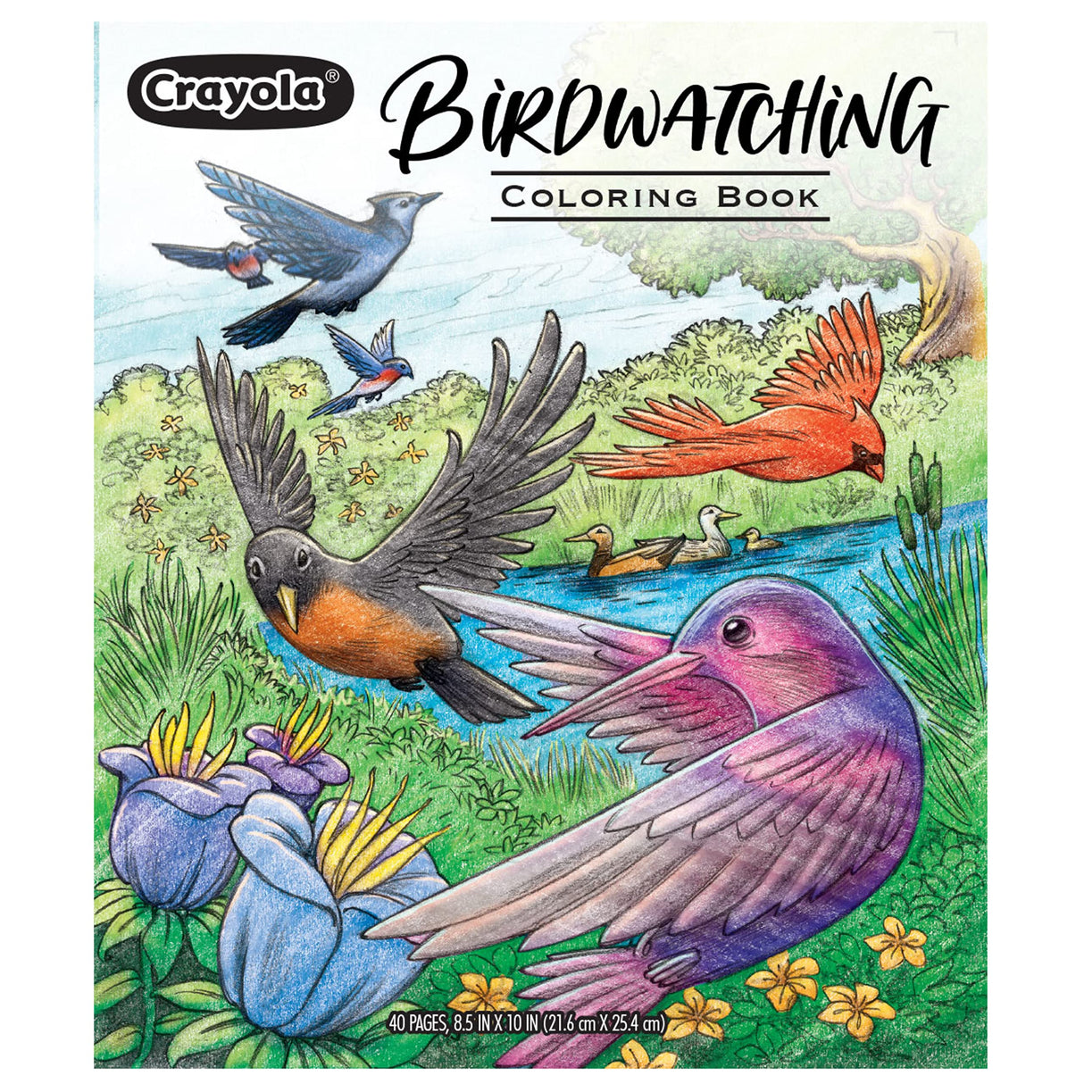 Crayola Bird Coloring Book (40pgs), Adult Coloring Pages, 8.5 x 10, Stress Relieving Coloring, Mindfulness Activity for Adults Crayola