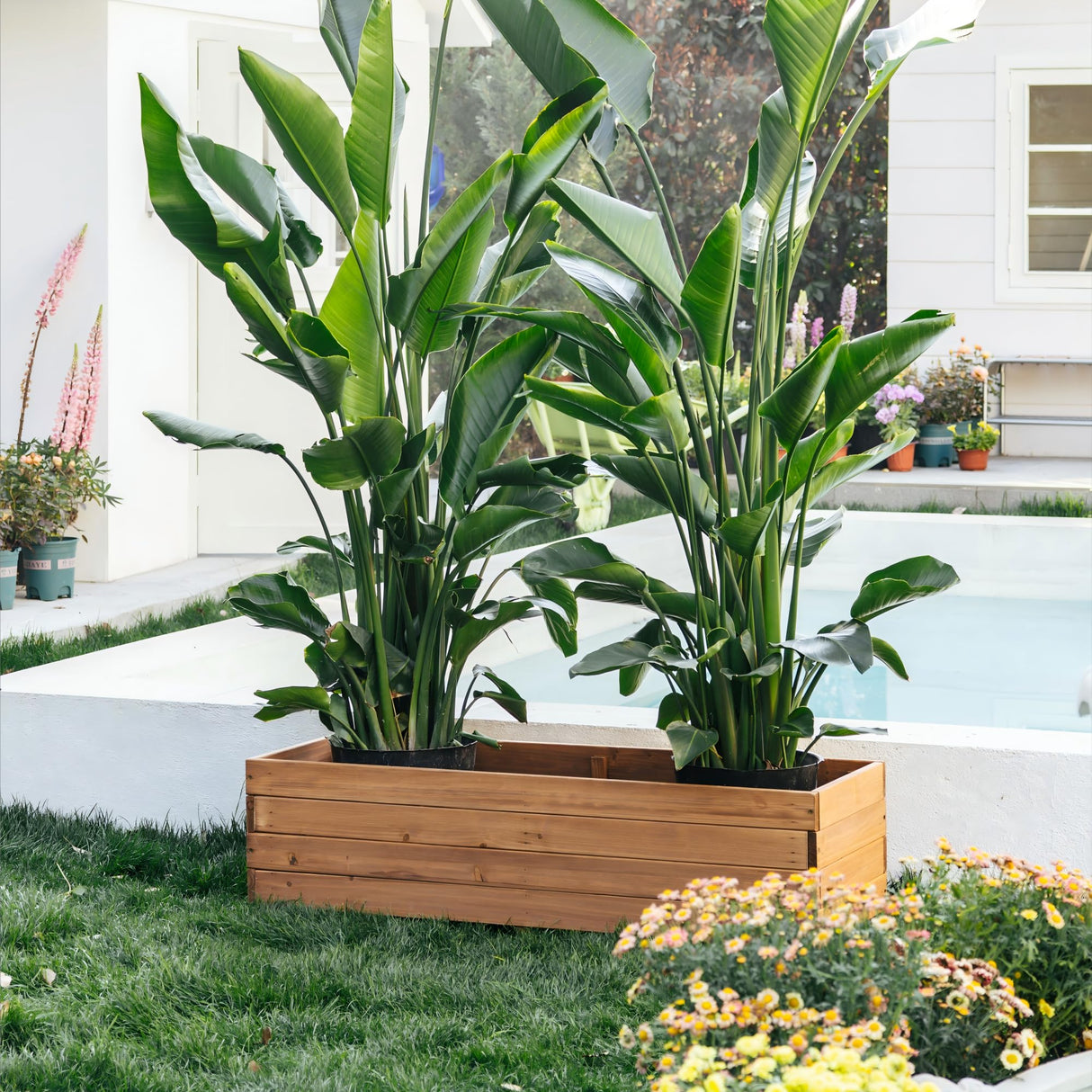 ScienGarden Wooden Raised Garden Bed Planter Box – Fir Wood Outdoor Vegetable, Herb & Flower Box with Drainage Holes – 47.24"x15.75"x12.6", Rot-Resistant, for Patio, Yard, Balcony ScienGarden