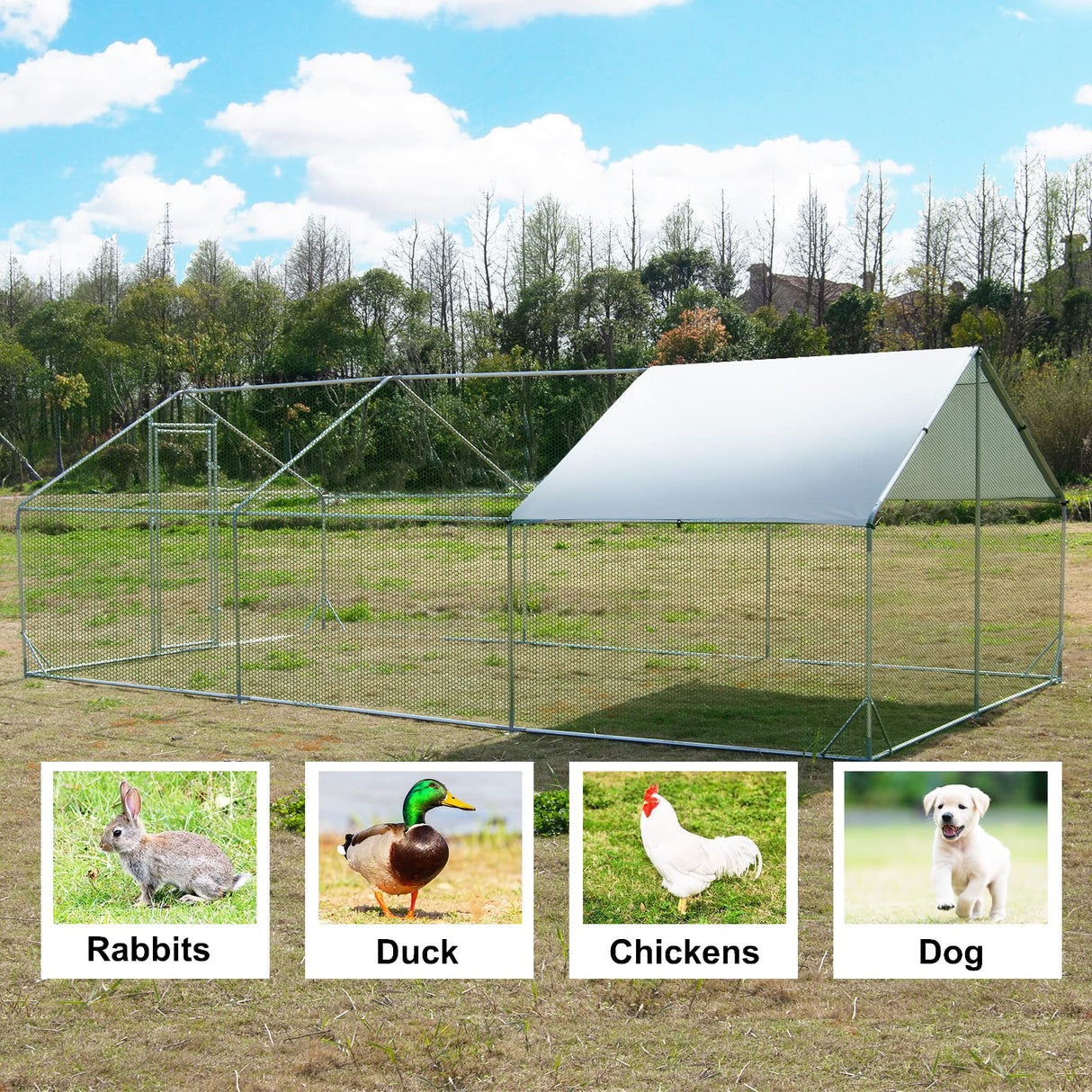 Large Metal Chicken Coop Walk-in Poultry Cage Hen Run House Habitat Spire Shaped Cage with Waterproof and Anti-Ultraviolet Cover for Outdoor Backyard Farm Use (19.68’ L×9.84’ W) Polar Aurora