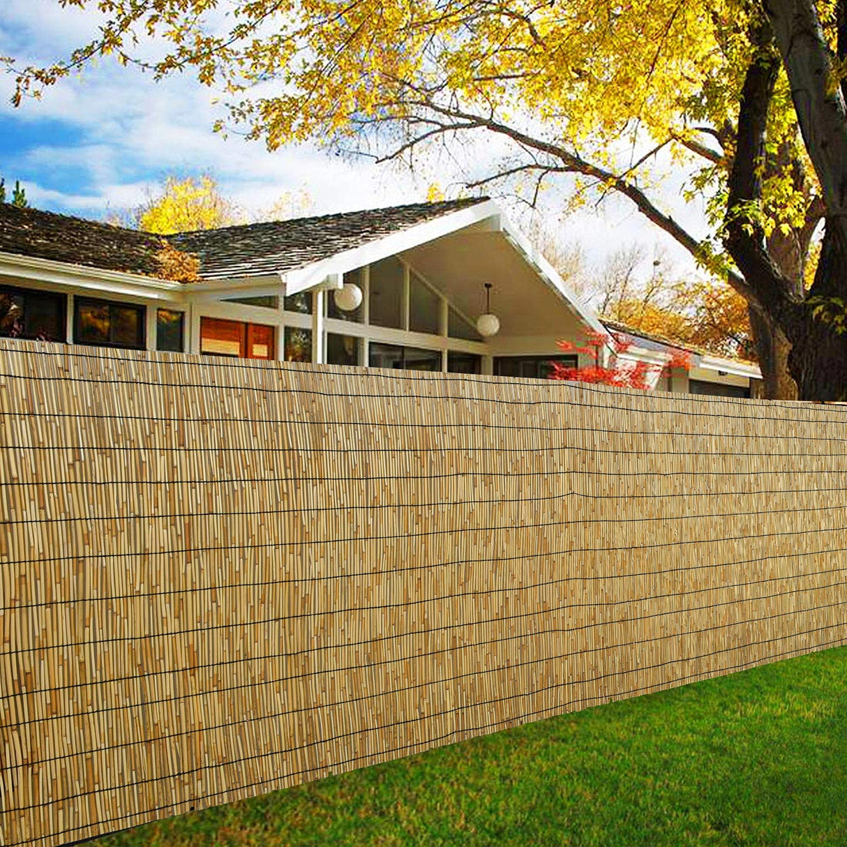 DearHouse Natural Reed Fencing, Eco-Friendly Reed Fence, 3.3 feet High x 13.3 feet Long, Reed Screen for Garden, Privacy DearHouse