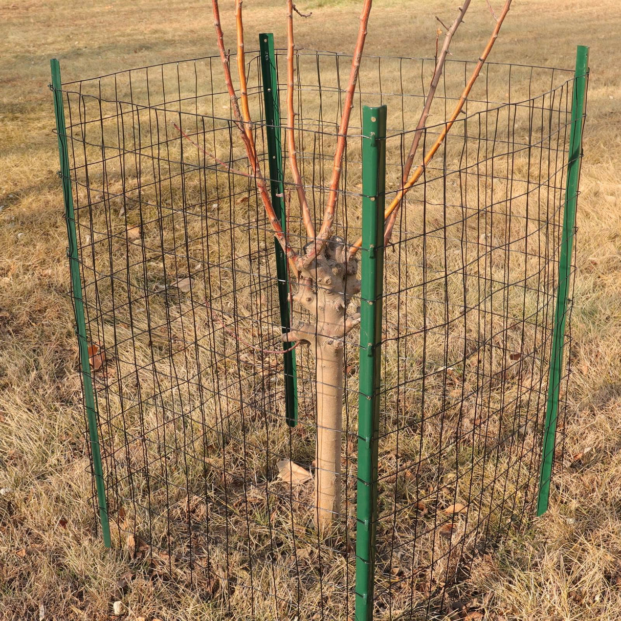 FOREHOGAR Black PVC Coated Welded Wire Fence 24 Inch x 50 Foot, 2 Inch x 3 Inch 16GA, Garden Border Fencing Roll Vinyl Coating Metal Wire Mesh for Yard Vegetable Plant Protection Poultry Netting FOREHOGAR