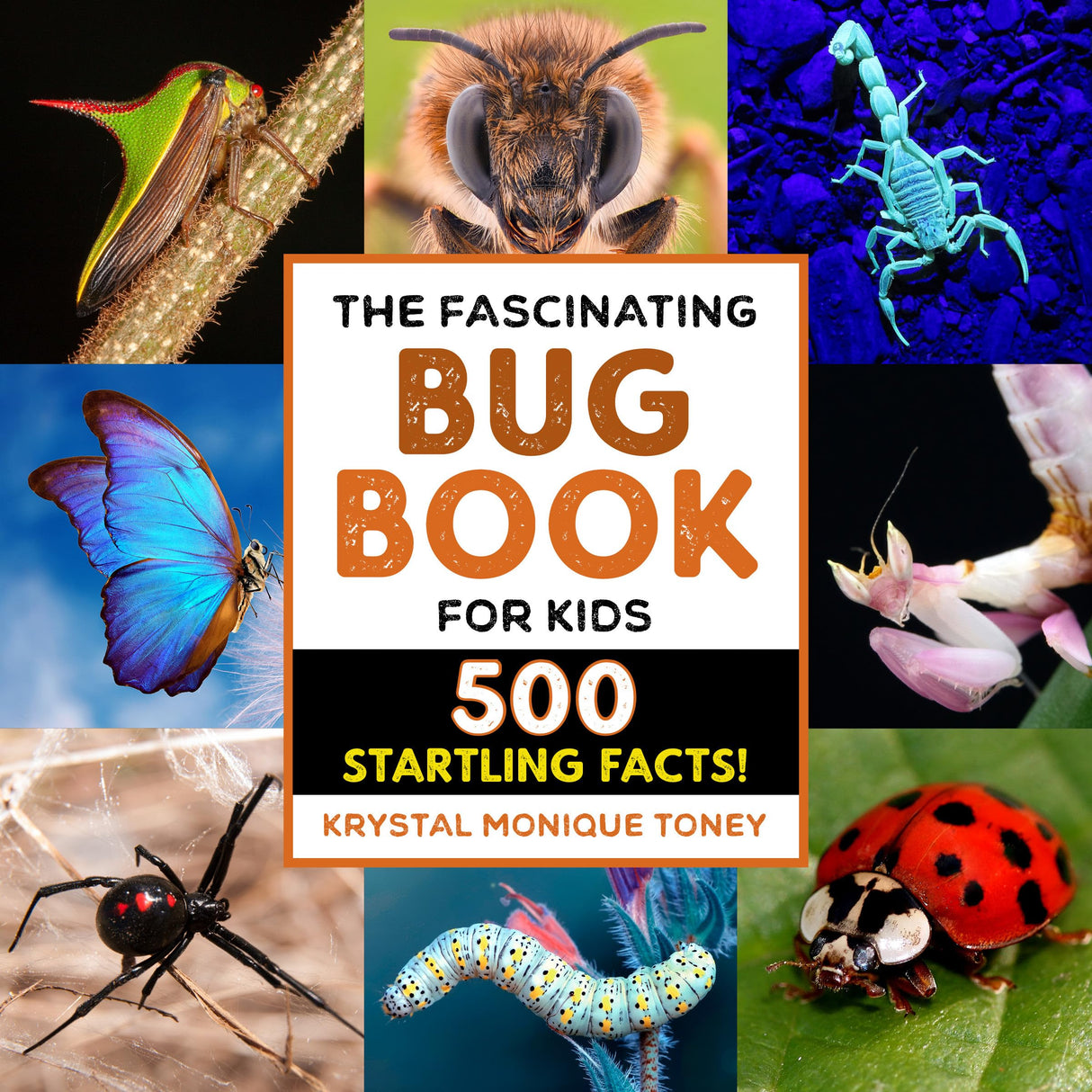 The Fascinating Bug Book for Kids: 500 Startling Facts! (Fascinating Facts) Callisto Kids