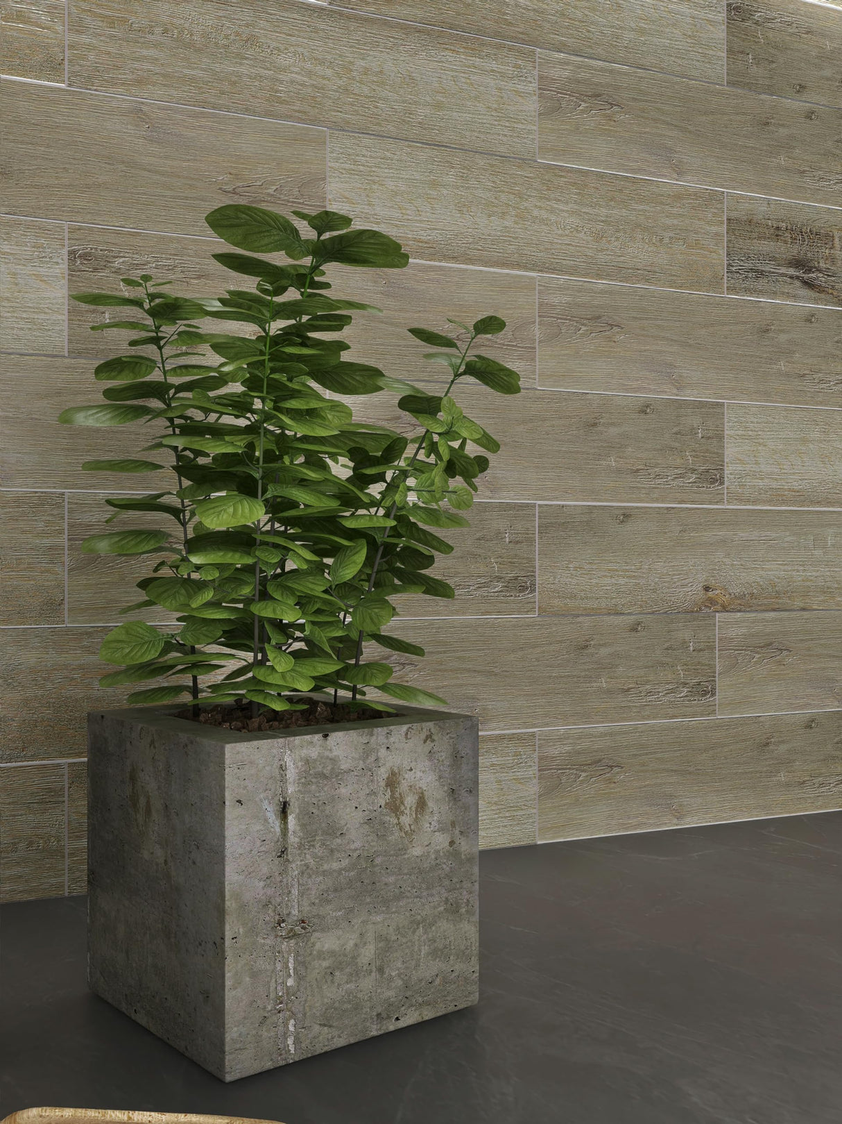 W&S 1 Piece Caesious Grey 3" x 12" Peel and Stick Wood Panels for Walls, Stick on Wood Look Tile for RV,Living Room,Accent Wall,Faux Wood Paneling for Kitchen Backsplash,Self Adhesive Wall Planks W&S WOOD & STONE