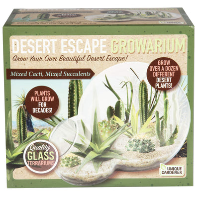 Grow Your Own Desert Escape in A Quality Glass Terrarium Starter Kit with Complete Supplies - Easy to Maintain Indoor Cacti and Succulents - Over A Dozen Desert Plants That Will Last for Years!