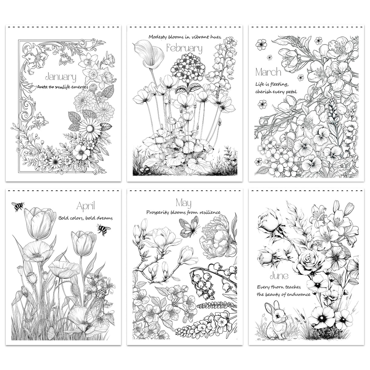 Set of 2 - Adult Coloring Book Seasonal Blossoms & Mandalas with Exquisite Patterns, Ideal Art for Women & Teens, Markers Recommended, Thick Paper, Spiral Bound, Anxiety and Depression, VKYE