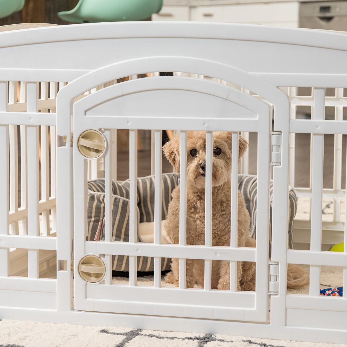IRIS USA 24" 6-Panel Pet Playpen with Door, Dog Playpen For Puppy Small Dogs Keep Pets Secure Easy Assemble Easy Storing Customizable Non-Skid Rubber Feet, White IRIS