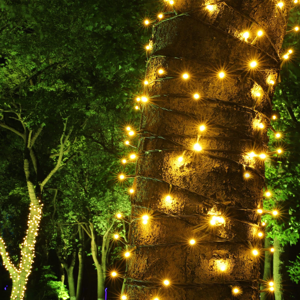 100-1000 LED Christmas Lights, Low Voltage Fairy String Lights with 8 Modes, Ideal for Xmax Tree, Garden, Home, Party, Halloween Festival Deco (100 LEDs, Warm White) PMS