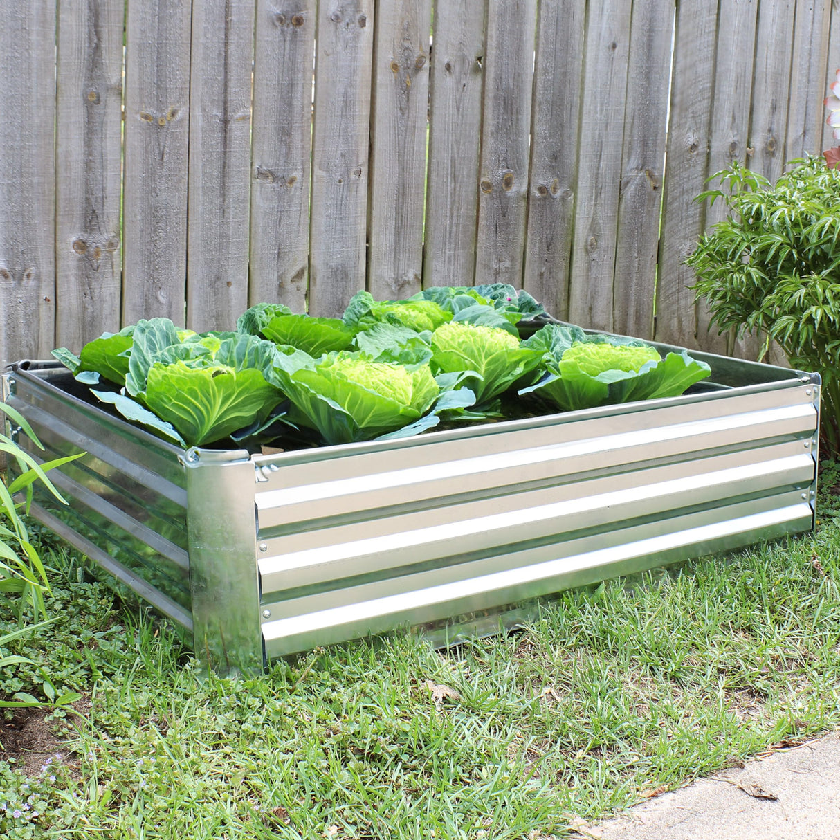 Sunnydaze 11.75" H Raised Metal Garden Bed - Galvanized Raised Garden Bed Outdoor for Vegetables and Flowers - Silver - 4' x 3' Rectangle Sunnydaze