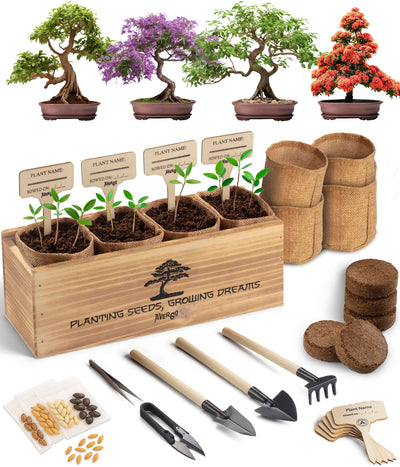 Avergo Bonsai Tree Kit – 4X Unique Japanese Bonzai Trees | Complete Indoor Starter Kit for Growing Bonsai Plants with Tools & Planters – Gardening Gifts for Women & Men