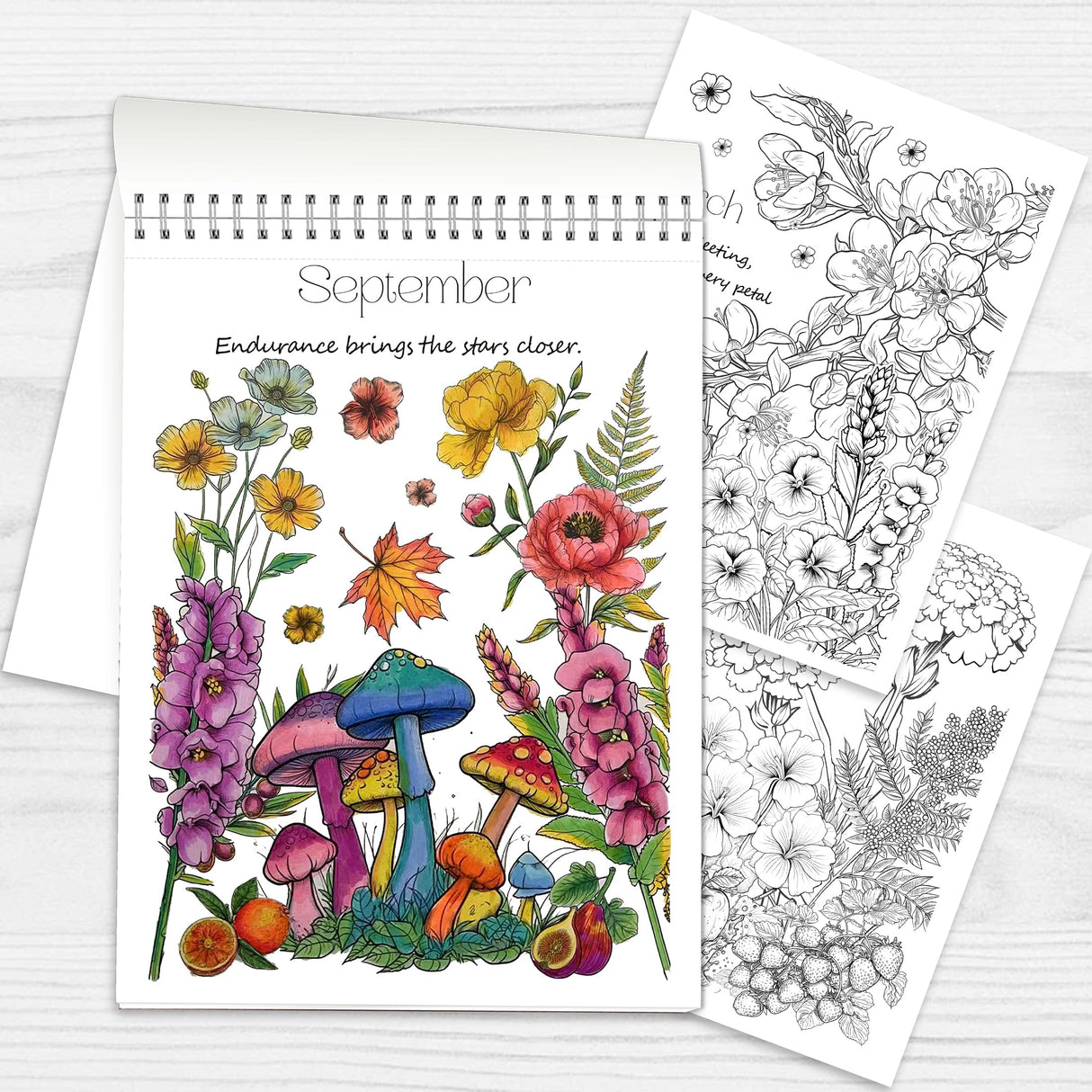 Set of 2 - Adult Coloring Book Seasonal Blossoms & Mandalas with Exquisite Patterns, Ideal Art for Women & Teens, Markers Recommended, Thick Paper, Spiral Bound, Anxiety and Depression, VKYE