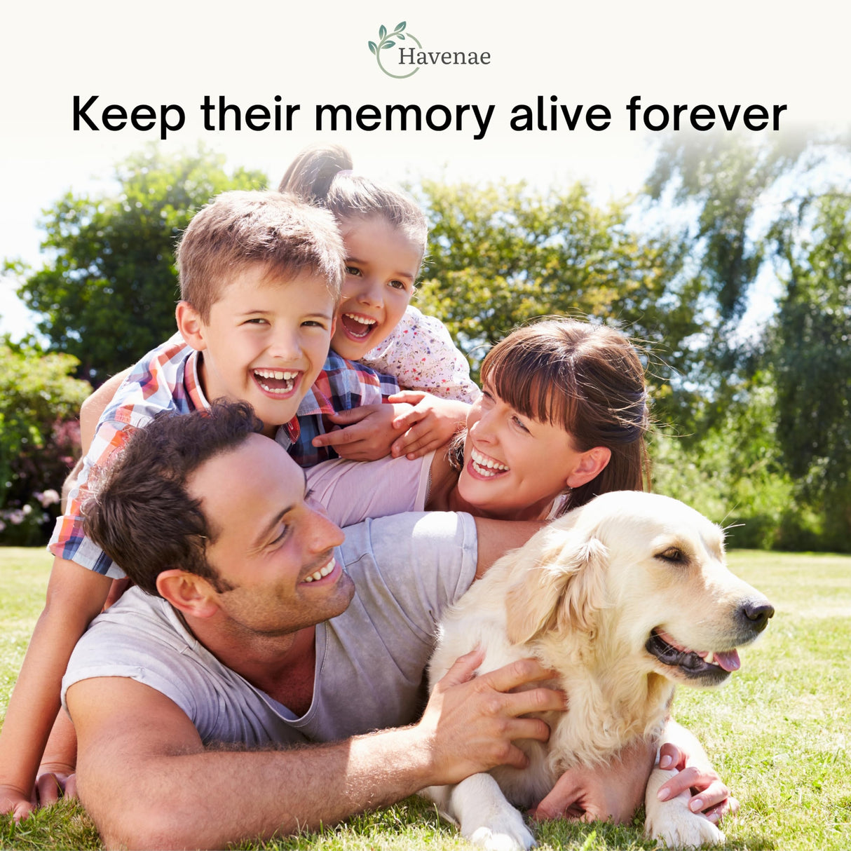 Havenae Pet Memorial Gifts for Dogs - Pet Memorial Shadow Box, Dog Loss Sympathy Gift, Pet Memorial Picture Frame, Pet Loss Gifts, Dog Bereavement Gifts Havenae