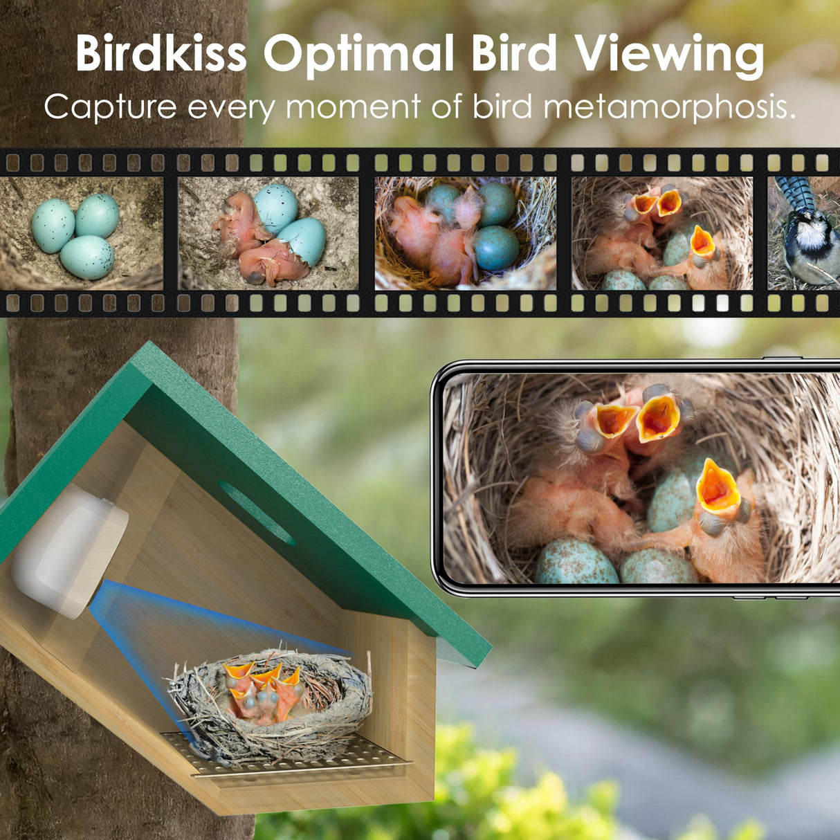 Birdkiss Smart Bird Houses for Outside Solar Powered, 1080P HD Live View Birdhouse with Camera, Perfect Viewing Bird Nesting and Hatching, Ideal Outdoors Bird House for Blue Bird and Cardinal (Green) Birdkiss