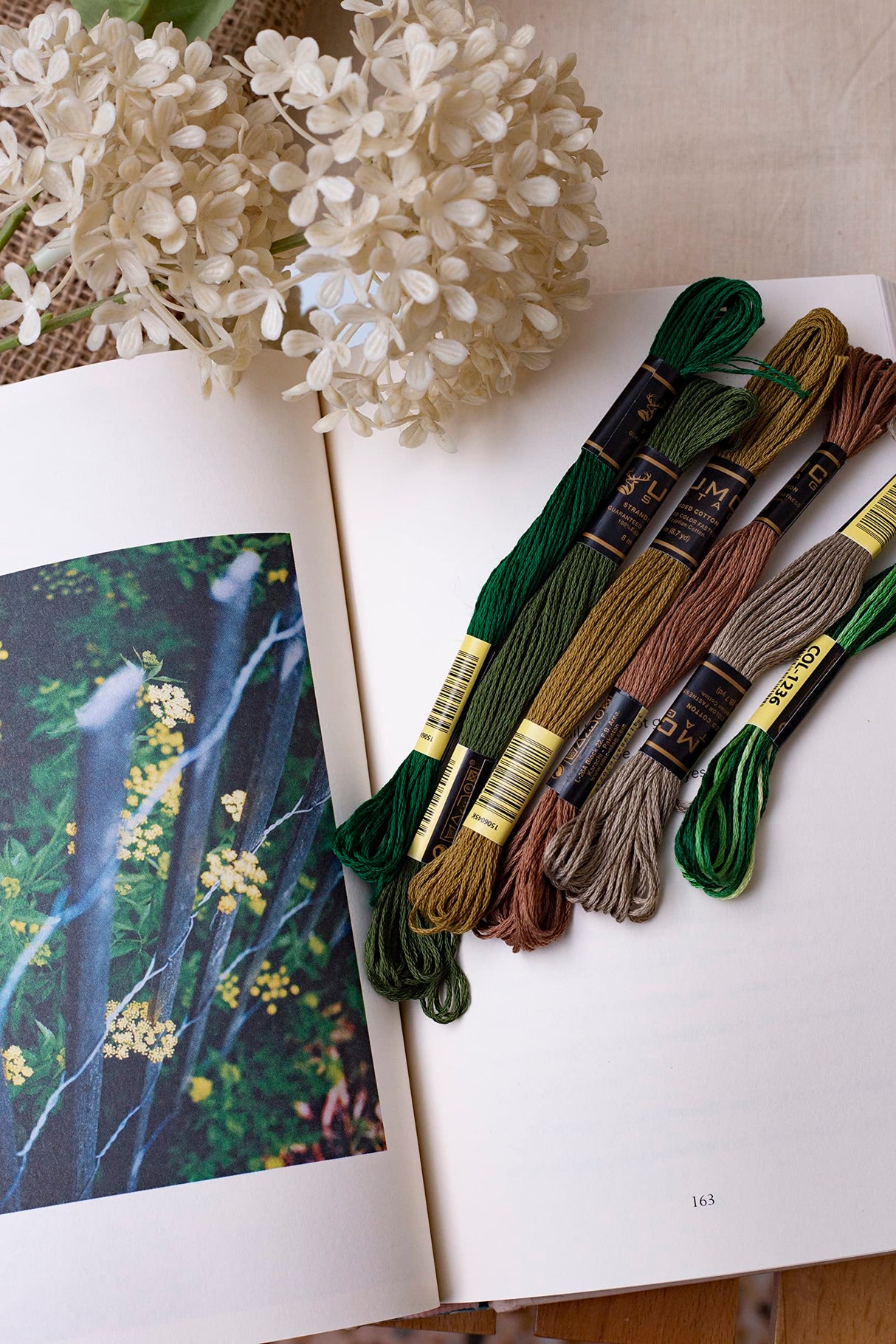 UMC STAG 12 Pieces | Premium Embroidery Thread | 100% Egyptian Cotton Premium Skeins | Cross Stitch Embroidery Floss | Oeko TEX Certified Stranded Cotton (Brown Tones) UMC STAG