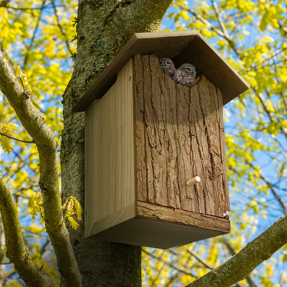 Outer Trails Japanese Cedar Wooden Owl Houses, Bark Front Outer Trails