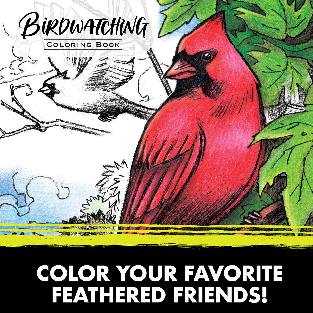 Crayola Bird Coloring Book (40pgs), Adult Coloring Pages, 8.5 x 10, Stress Relieving Coloring, Mindfulness Activity for Adults Crayola