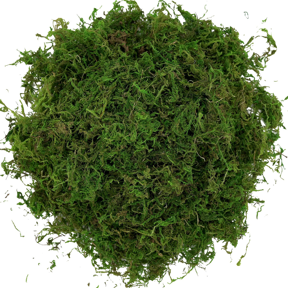 USMOLA Artificial Moss, 16OZ Fake Moss for Crafts, Decorative Centerpieces, Fairy Garden, Wedding Party Decor, Faux Potted Plants, 455gr (Fresh Green) USMOLA