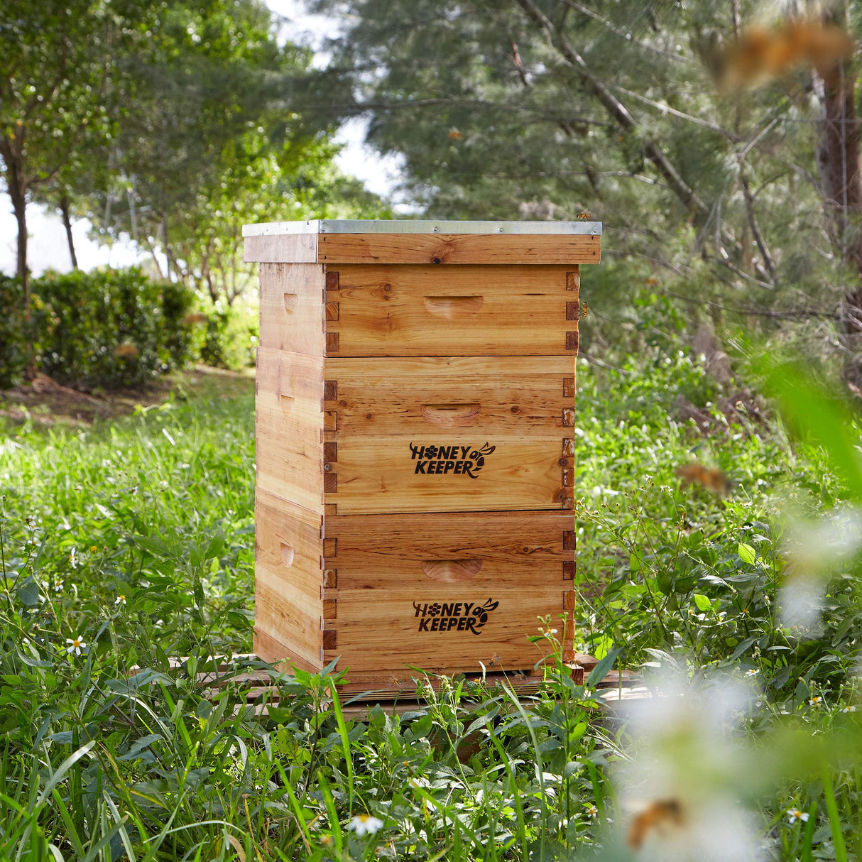 Honey Keeper Beehive 10 Frame Complete Box Kit Coated in 100% Beeswax (Waxed Boxes, 2 Deep and 1 Medium) with Wooden Frames and Waxed Foundations for Langstroth Beekeeping Honey Keeper