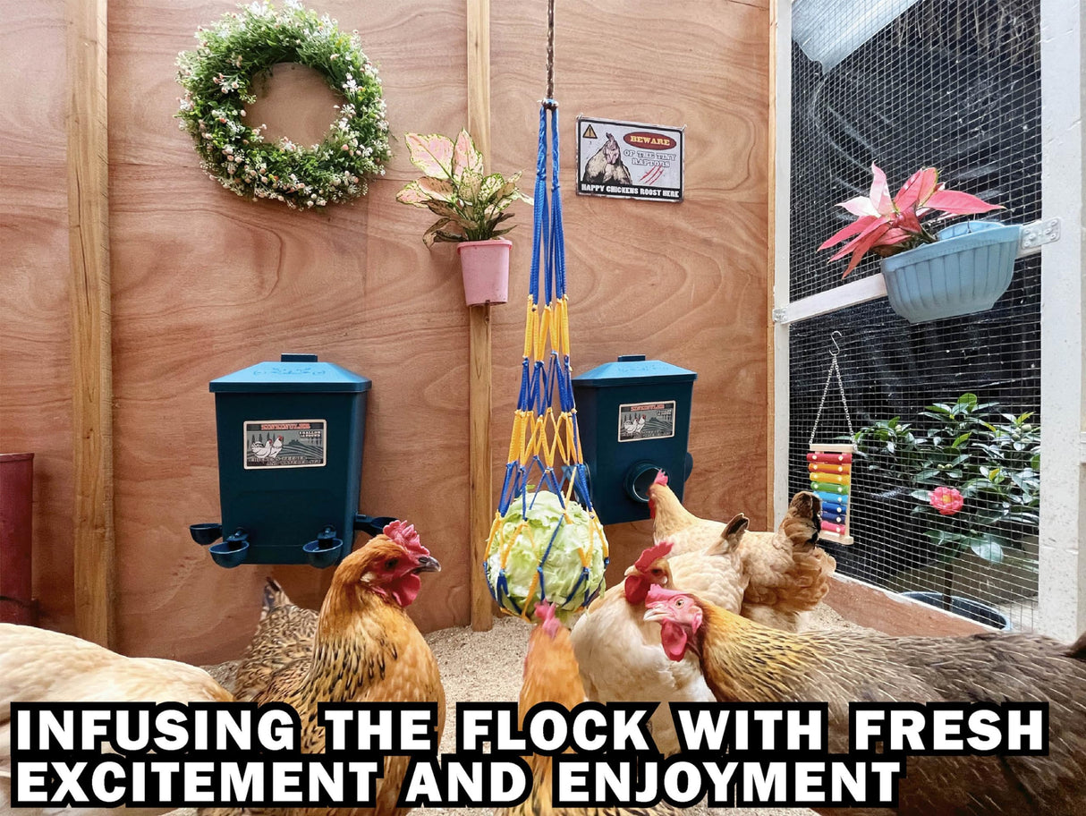 ZINZINULER Automatic Port Chicken Feeder and Cup Waterer Set - Chicken Coop Accessories, No Waste Poultry Feeder, 3 Gallon/16 Pounds ZINZINULER