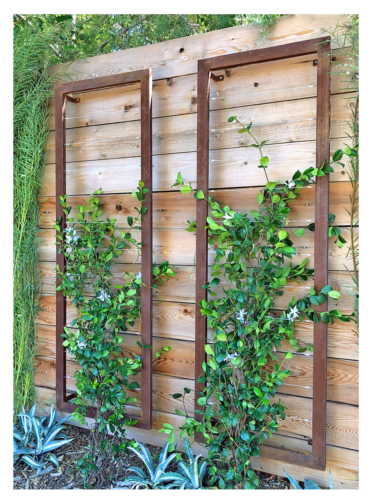TERRA TRELLIS Ina Modern Wall Trellis for Outdoor Plants | Garden and Home Climbing Vines Wall Trellis | Modern, Steel & Durable | Large (Oxide) Terra Trellis