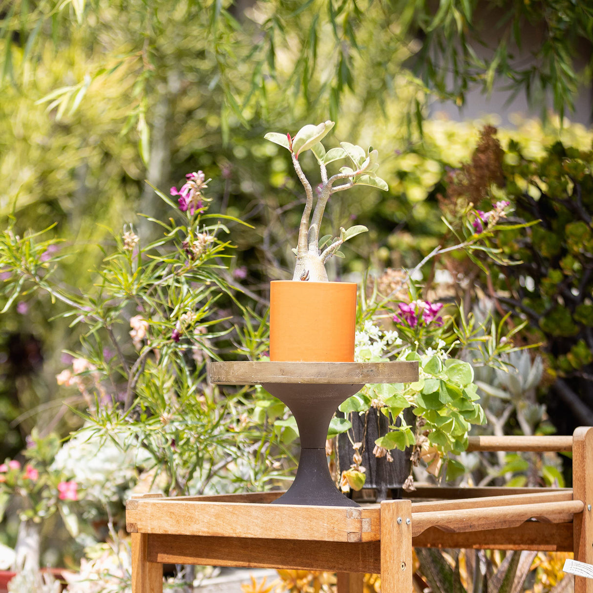 Stonebriar Rustic Worn Natural Wood and Metal Pedestal Tray, Decorative Pillar Candle Holder, For Centerpieces, Mantel Decoration, or Any Table Top, Large Stonebriar