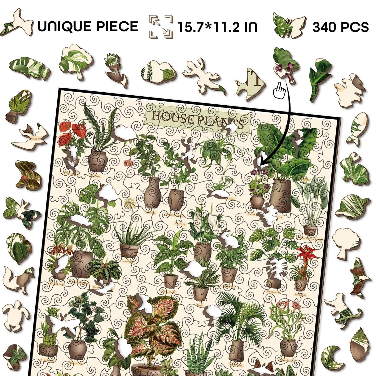 Vintage Houseplant Wooden Puzzle 340 Pieces for Adult, Botany Succulent House Plant Wood Puzzle, 39 Common Indoor Plants Jigsaw Puzzles, 15.7 * 11.2 in BBOLDIN
