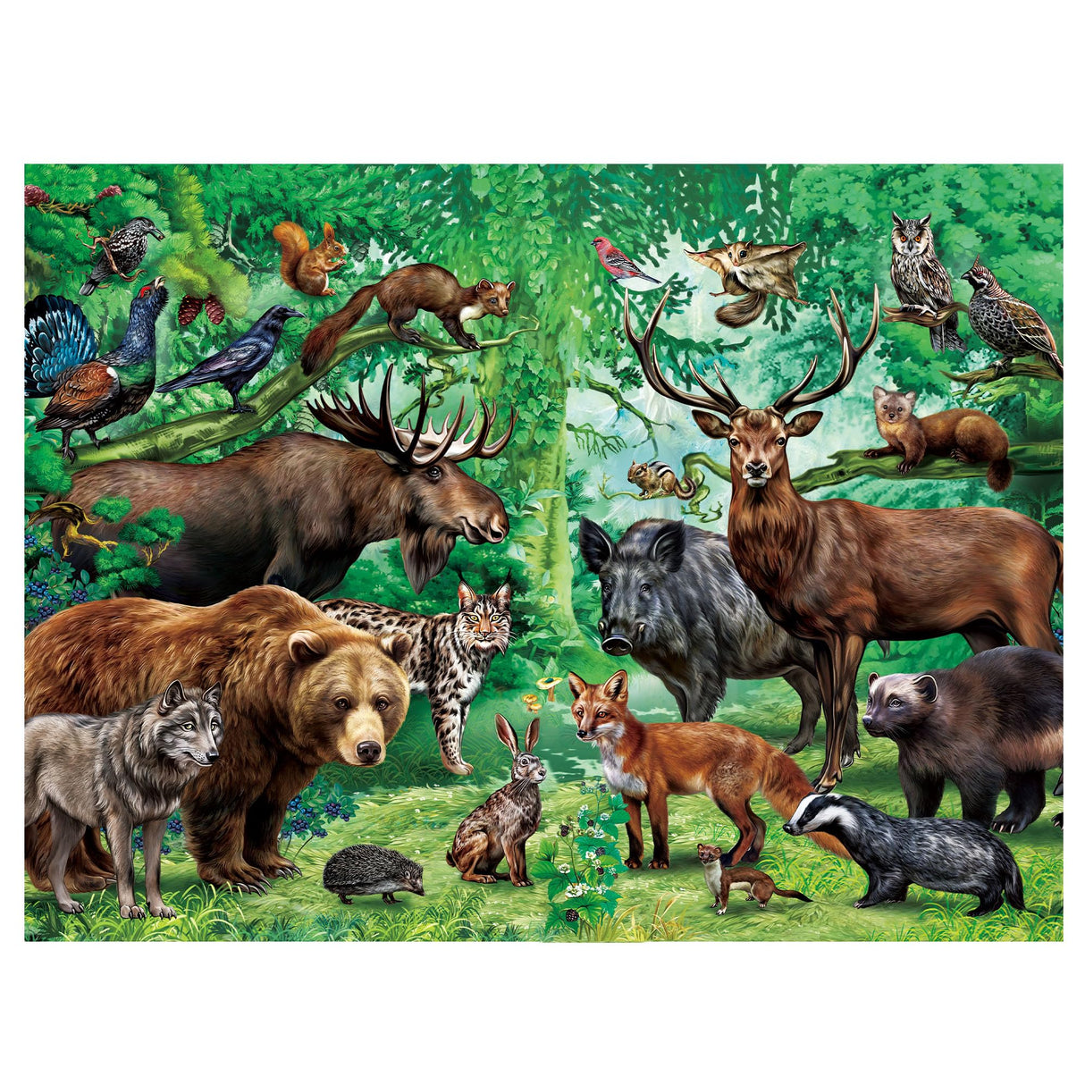 BenBen Puzzles for Kids Ages 4-6, Double Sided 100 Piece Puzzles for Kids, Wild Animals, Learning Educational Jigsaw Puzzles Toys for Boys Girls (15.75” x 11.75”) BenBen