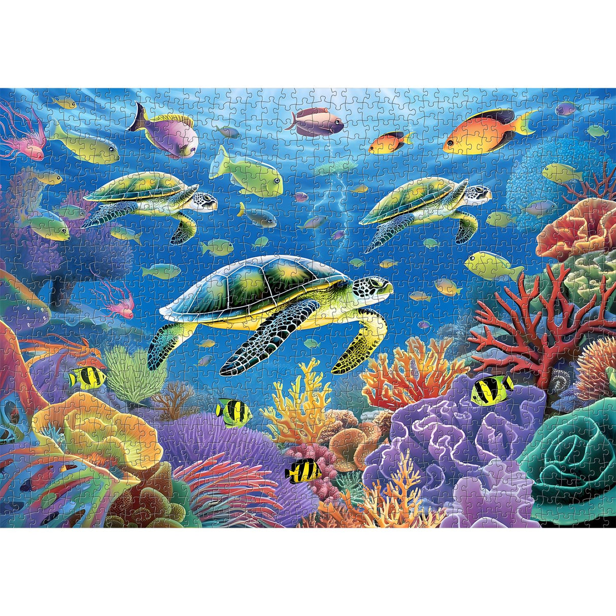 PICKFORU Ocean Puzzle 1000 Pieces, Sea Turtle Puzzles for Adults Fish, Colorful Marine Life Jigsaw Puzzles Beach Scenes… PICKFORU