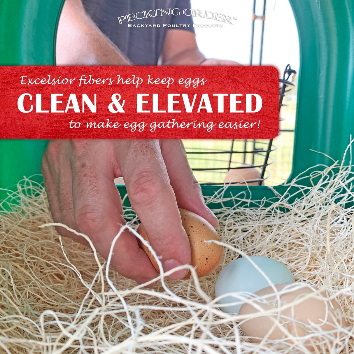 Nest Box Pads for Chicken Nesting Boxes - 13 x 13 Pads Made in USA from Sustainably Sourced Aspen Excelsior (10 Pack) Pecking Order