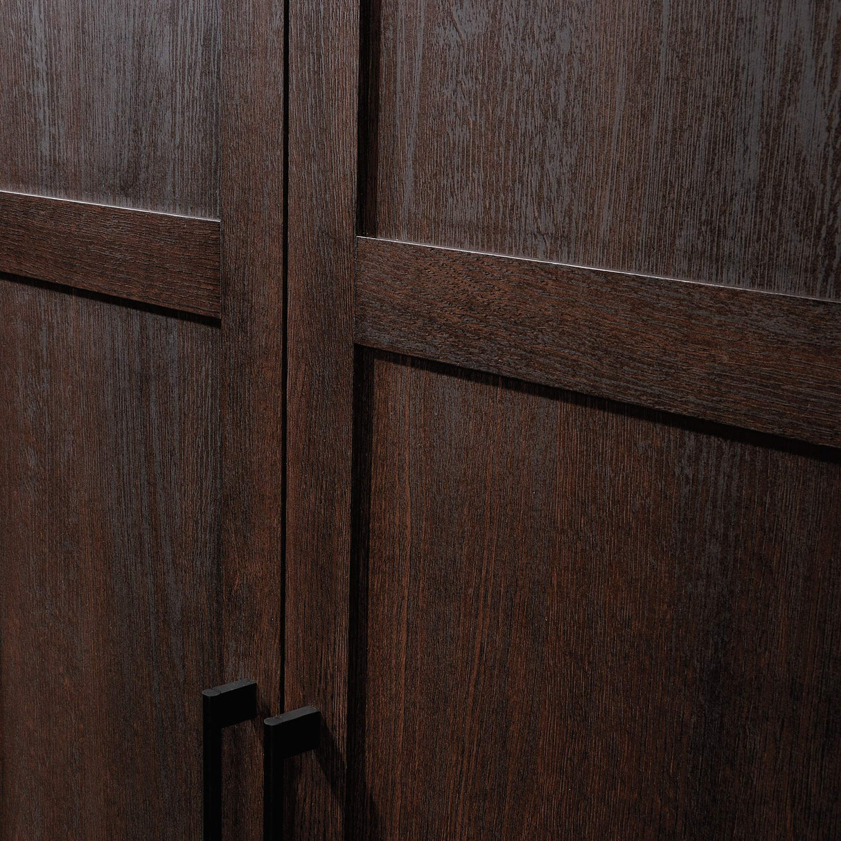 Sauder HomePlus Storage Pantry Cabinet, L: 30.71" x W: 17.21" x H: 68.82", Dakota Oak finish Sauder