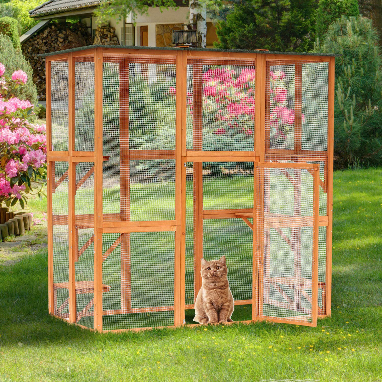 PawHut Outdoor Cat House Big Catio Wooden Feral Cat Shelter Enclosure with Large Spacious Interior, 6 High Ledges, Weather Protection Asphalt Roof, 71" L, Orange PawHut