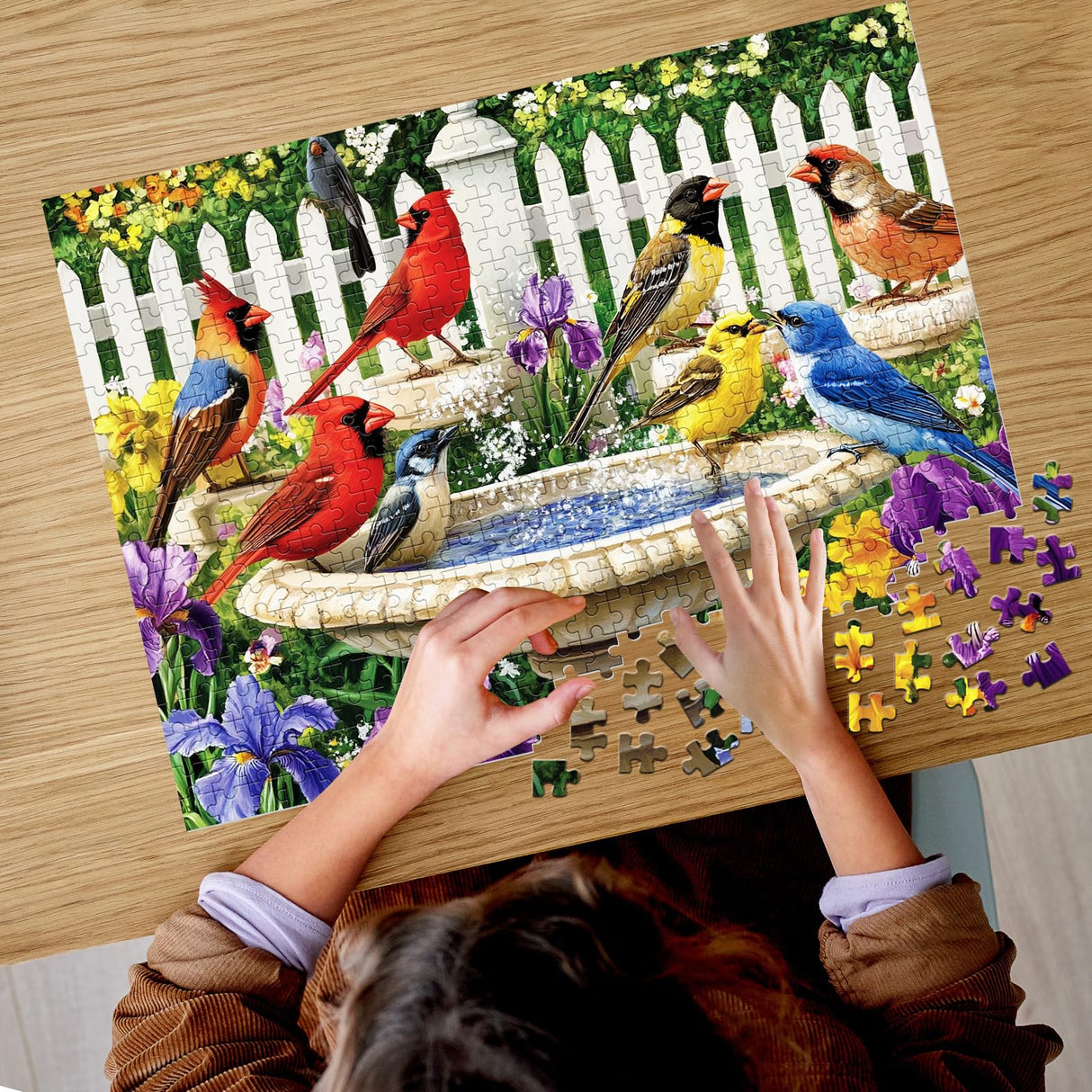 500 Pieces Puzzle for Adults | Bath Birds Large Piece Puzzle | Recycled Cardboard Jigsaw Puzzle 500 Pieces | Challenging Game Home Decor Birthday Party Gift Toy for Adults Kids Seniors 20.5 * 15 in Maiqufa