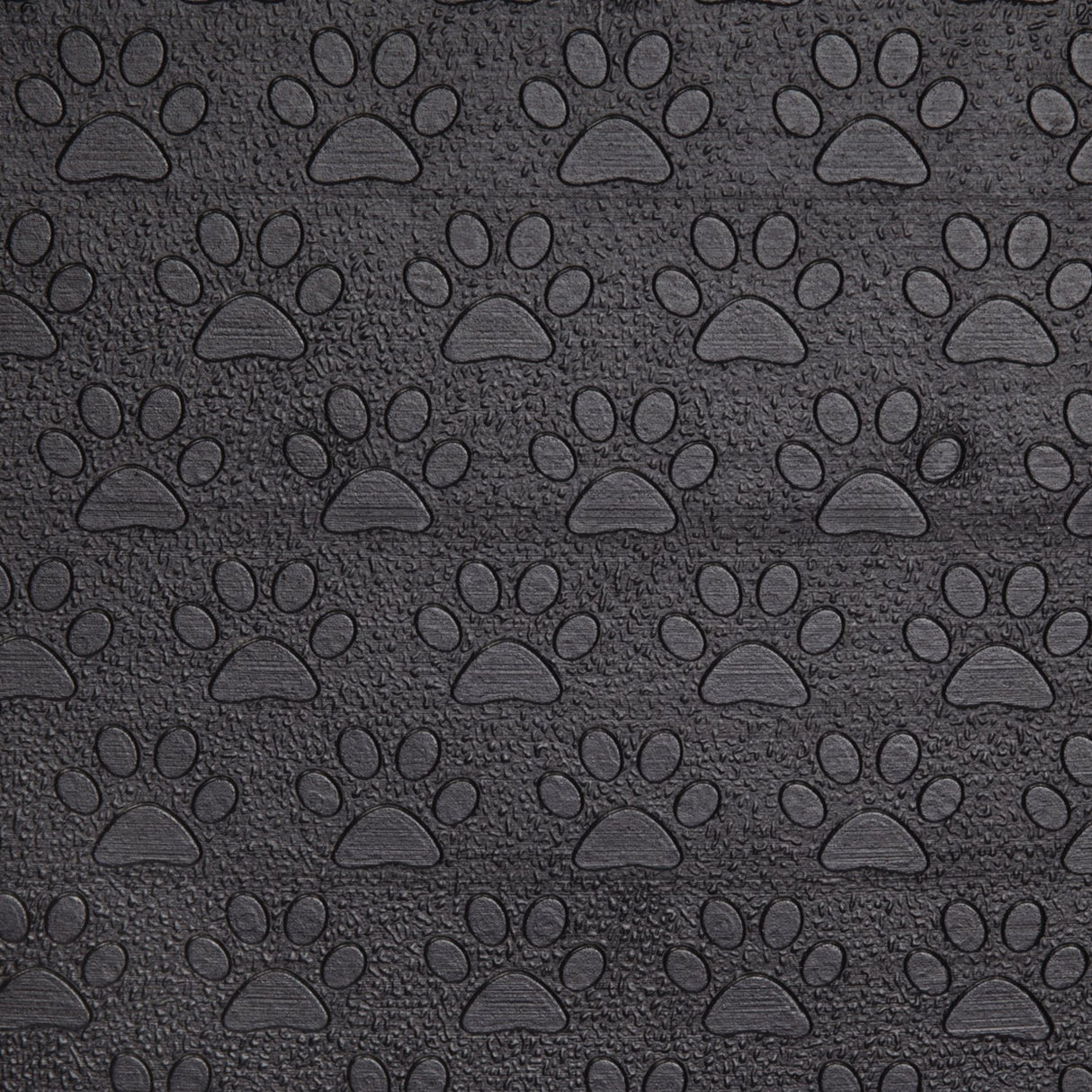 Master Equipment Steel Versa Competition Pet Grooming Table Master Equipment