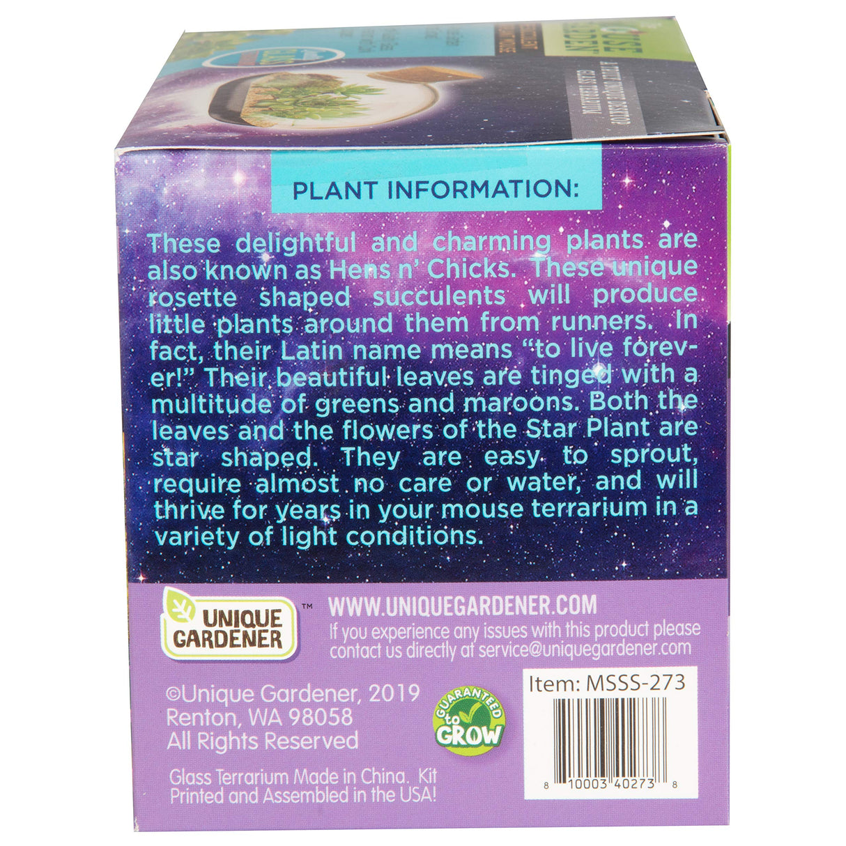 Grow Your Own Succulent Star Plant Mouse with Our Glass Terrarium Starter Kit - Fun and Easy to Grow with Complete Supplies - Plant A Mouse Garden That Will Last for Years - Great for Home Or Office Unique Gardener