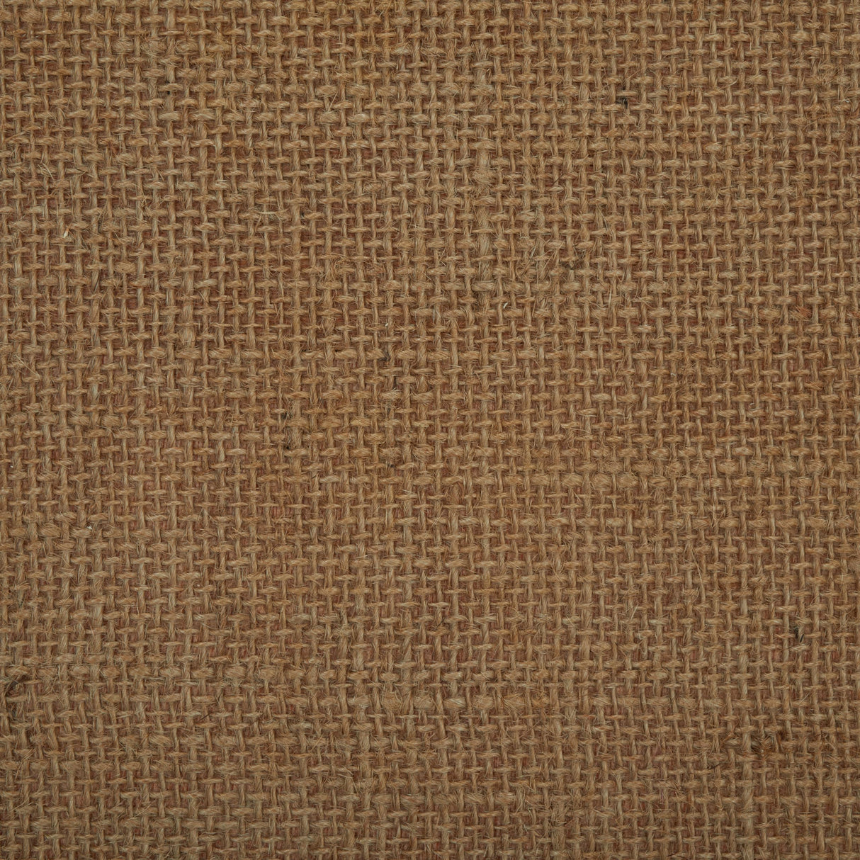 SAFAVIEH Couture Collection Nicolella Natural Solid Wood/Glass Top Square Coffee Table