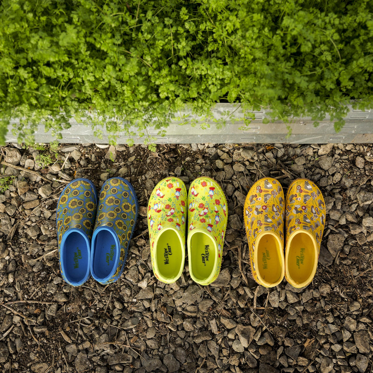 Western Chief Womens Waterproof Clog with Neoprene Lining and Rubber Outsole - Perfect for Garden and Outdoor Wear, Folk Chickens, 7 Western Chief