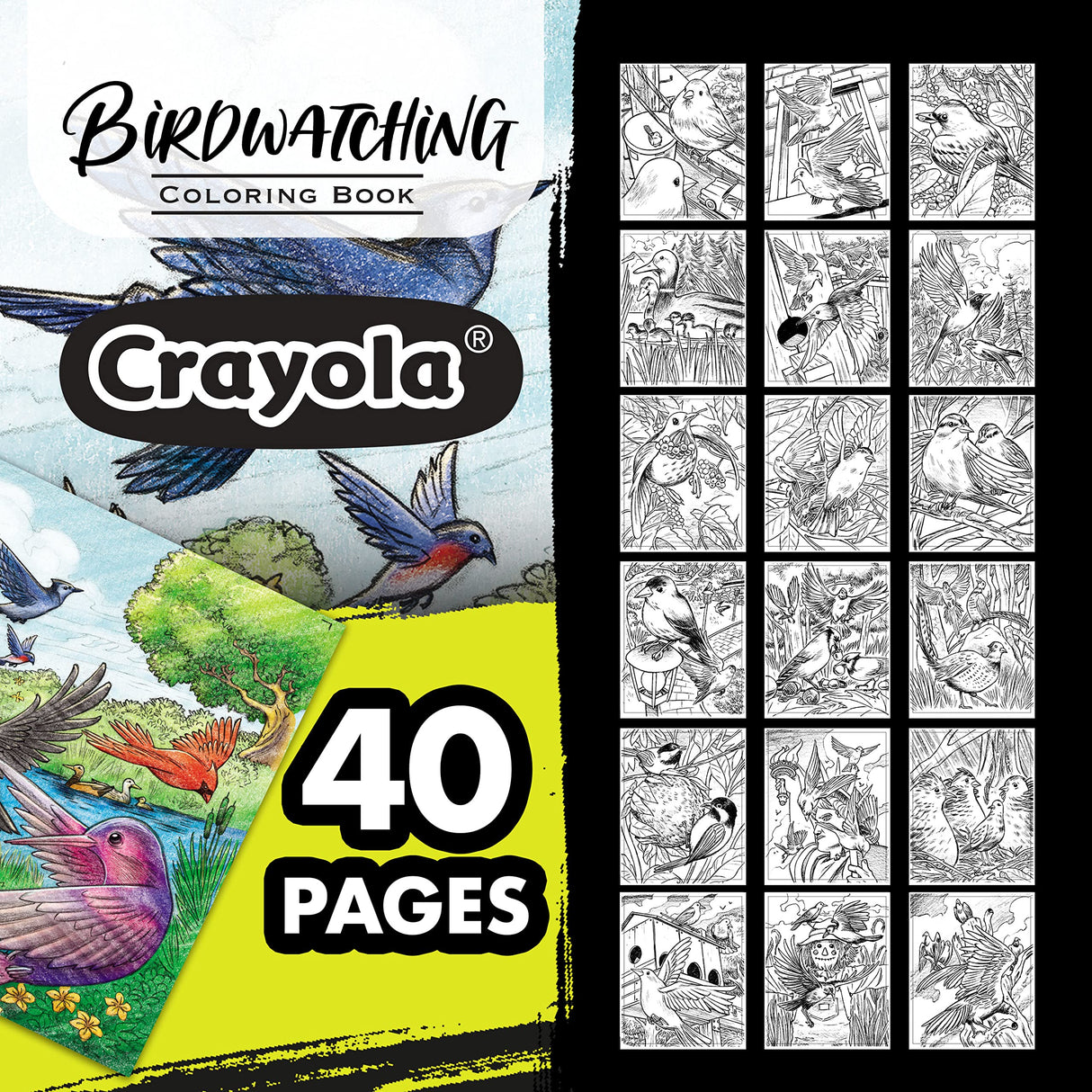 Crayola Bird Coloring Book (40pgs), Adult Coloring Pages, 8.5 x 10, Stress Relieving Coloring, Mindfulness Activity for Adults Crayola