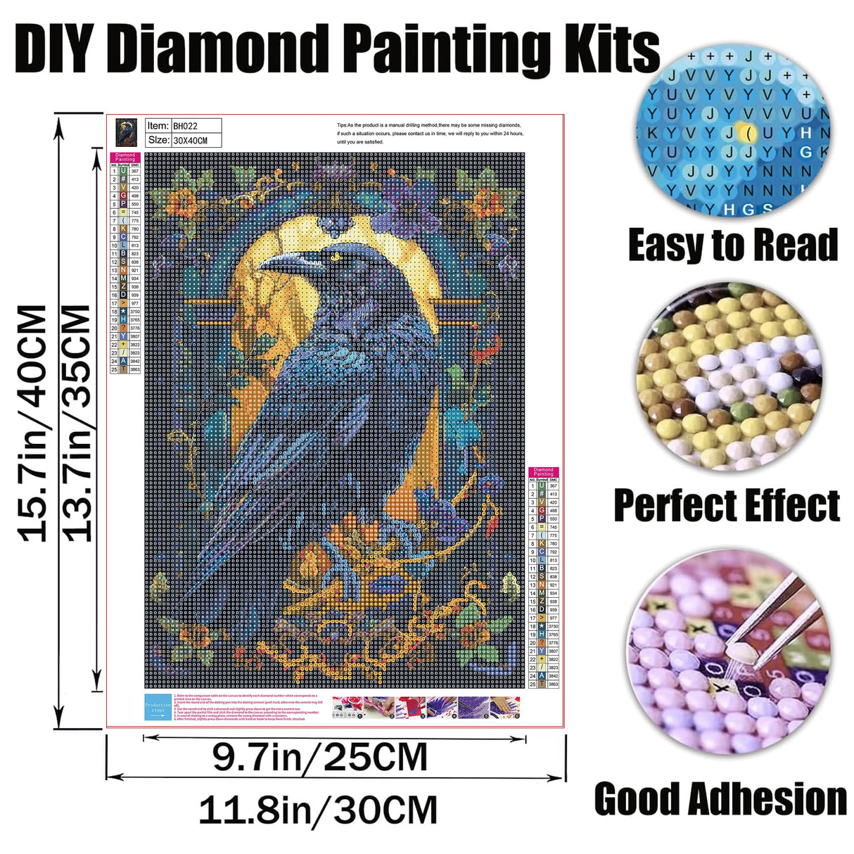 GMETINC Crow Diamond Painting Kits for Adults, Raven DIY 5D Diamond Art Kits Full Drill Diamond Dots Paintings with Diamonds Gem Art and Crafts Home Decor 12x16inch GMETNIC