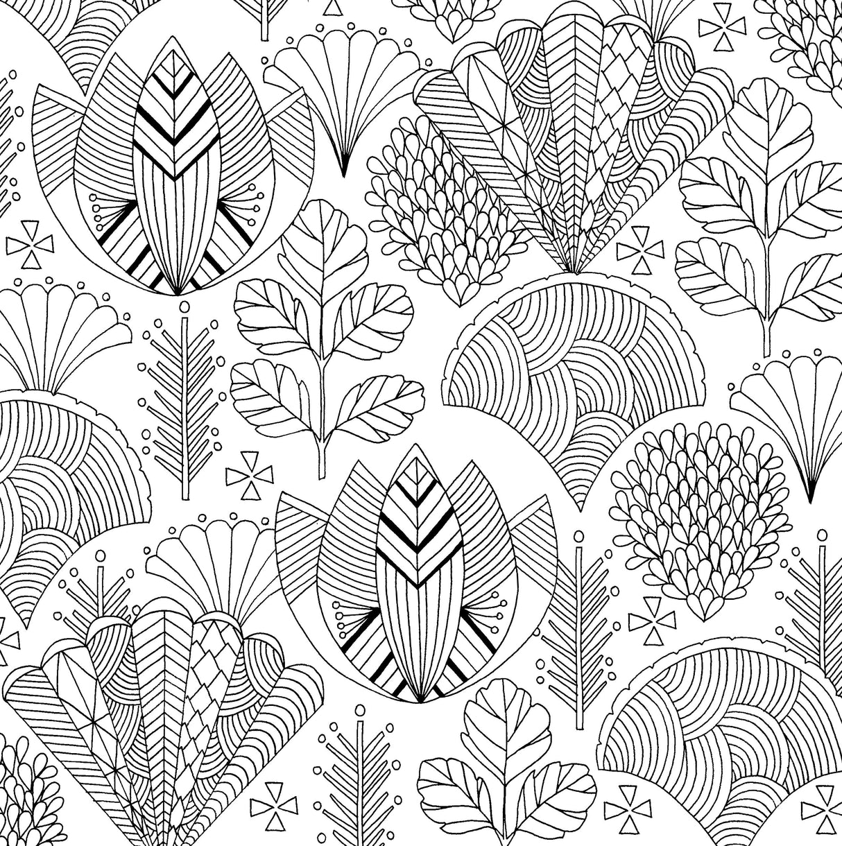 Follow Your Dreams Adult Coloring Book (31 stress-relieving designs) (Artists' Coloring Books) (Studio: Artist's Coloring Books) PETER PAUPER PRESS
