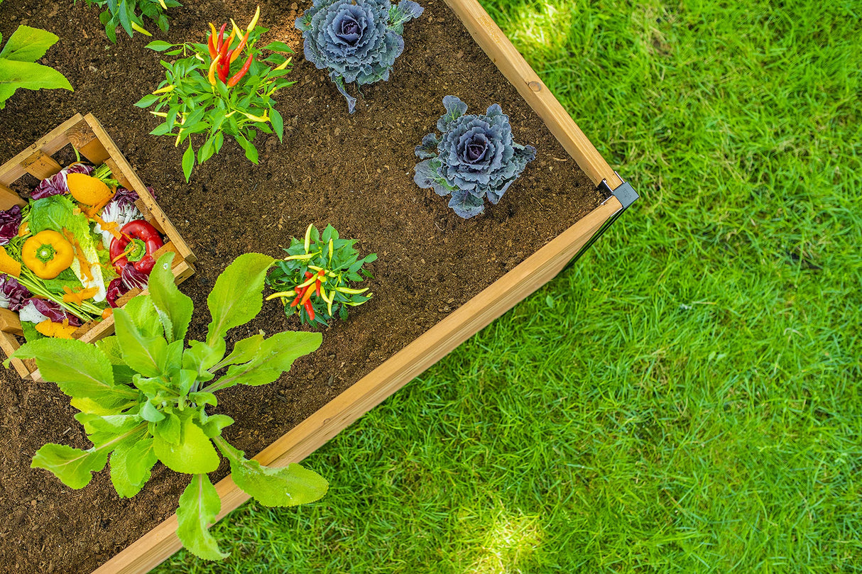 Vita Mezza 3 Foot x 5 Foot Keyhole Garden with Composting Basket, Golden Brown with Black Aluminum Posts, Cedar Wood, FSC, Pre-Stained, Outdoor, VT17702 Vita