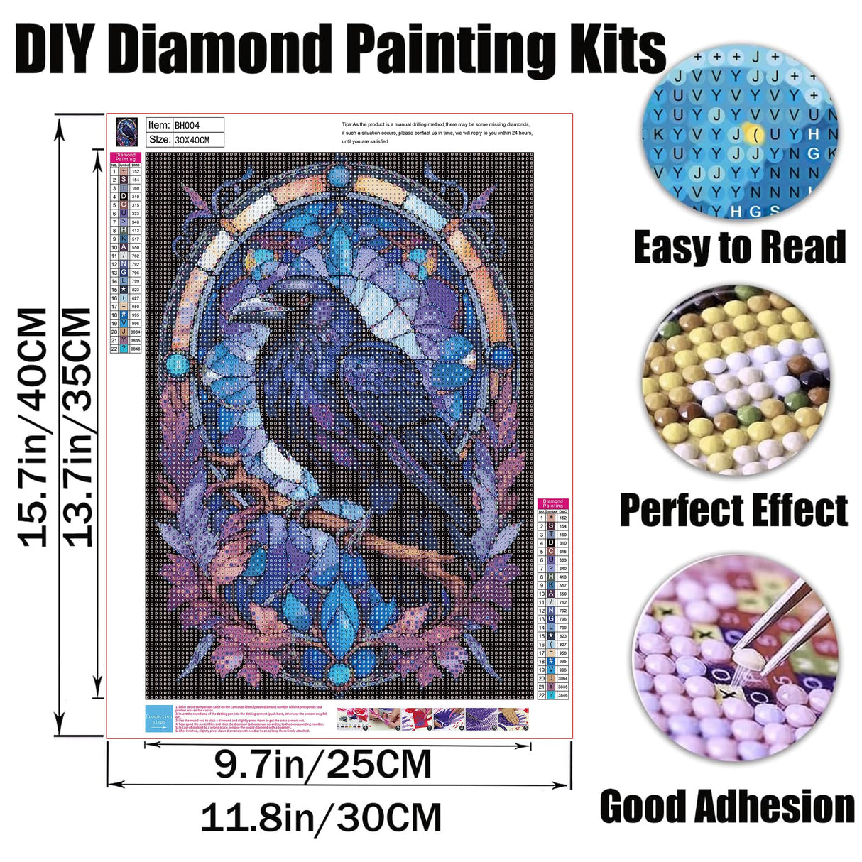 GMETINC Diamond Painting Kits for Adults, Crow DIY 5D Diamond Art Kits Full Drill Diamond Dots Paintings with Diamonds Gem Art and Crafts Home Decor 12x16inch GMETNIC