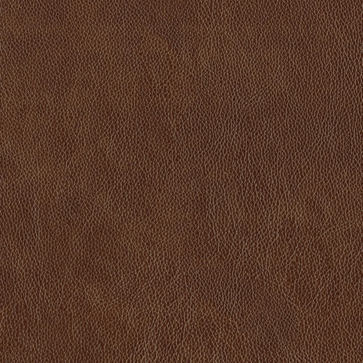 Lexicon 100% Top Grain Genuine Leather Chair, Leather Accent Chairs for Living Room, Solid Wood Frame, Rolled Armrest & Nailhead Trim, Comfy Reading for Bedroom, Office, Waiting Room, Brown Lexicon