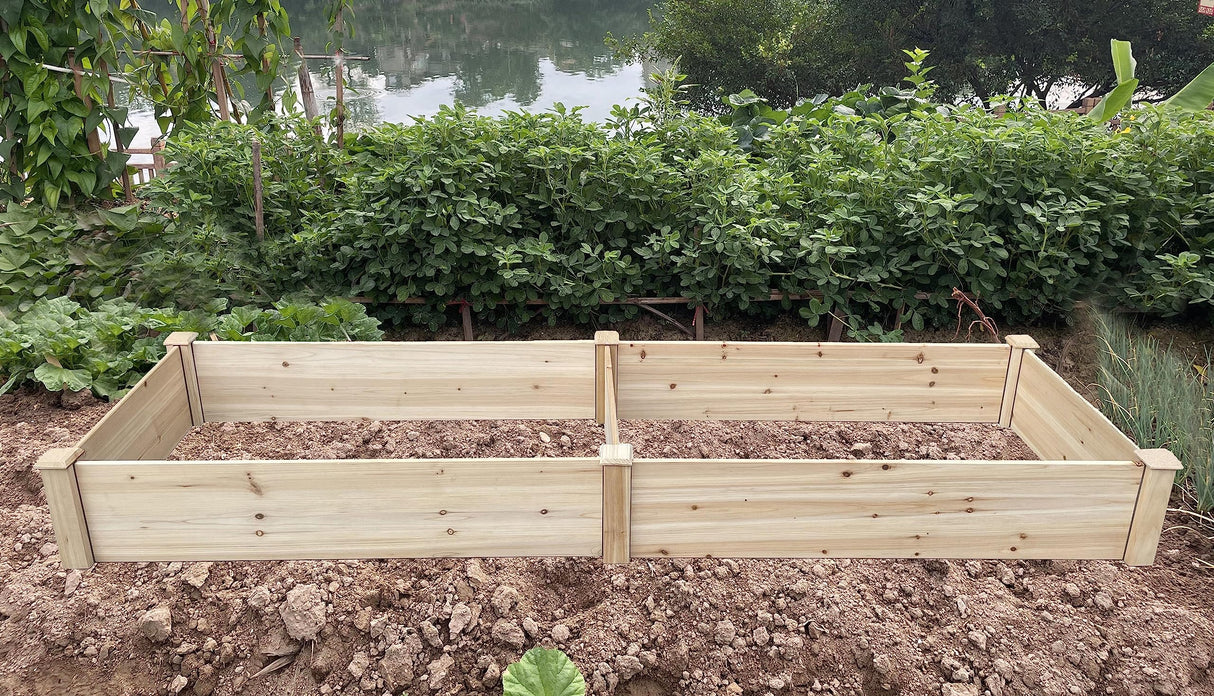 BTExpert 8ft x 2ft Horticulture Raised Garden Beds Elevated Planting Divisible Large Wooden Planter Box Kit Stand for Vegetable Herbs Flower Backyard Patio Balcony Bed Liner Outdoor Clear Natural Wood BTEXPERT
