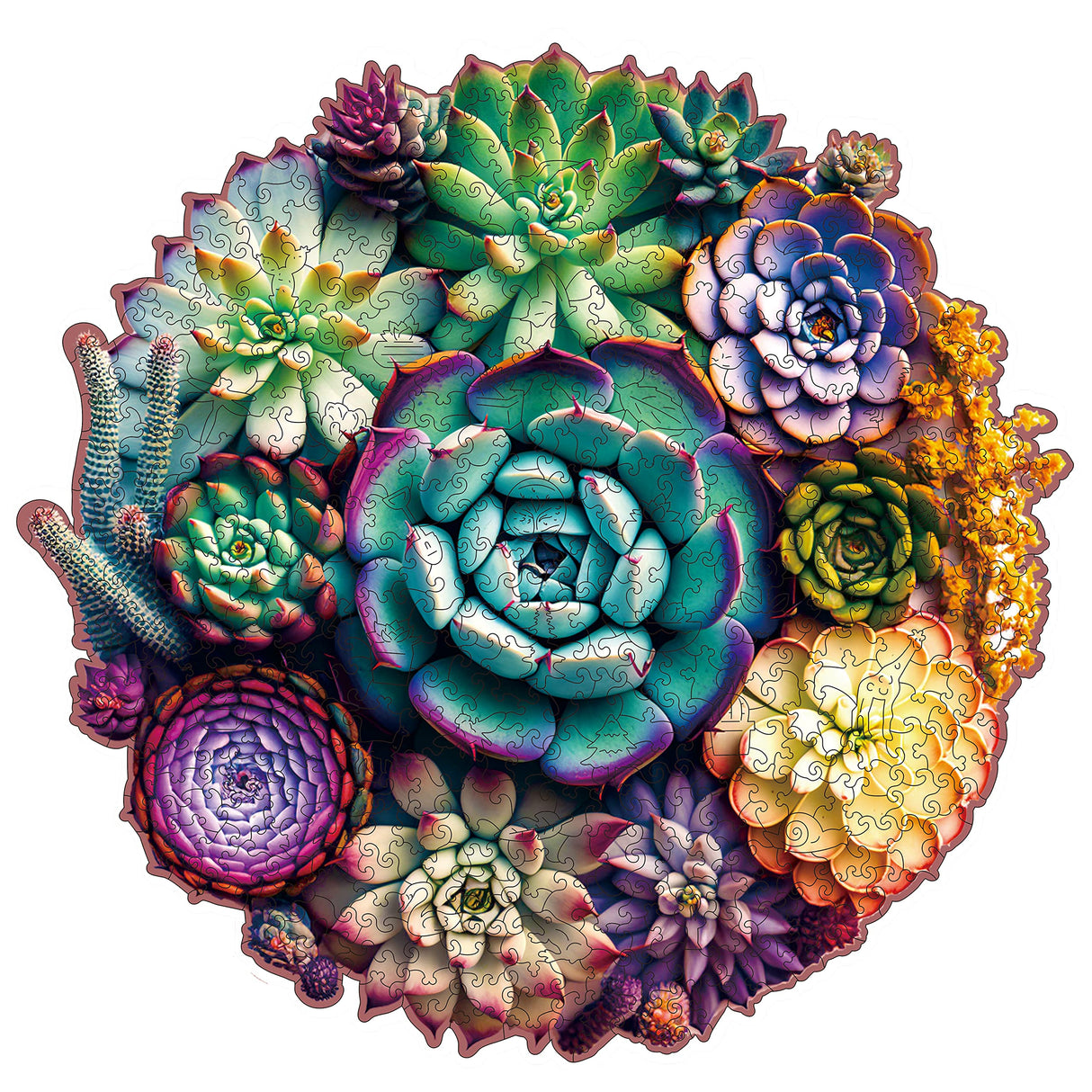 Mys Aurora Unique Wooden Jigsaw Puzzles - Mandala Succulent Plants, 500 Pcs King Size 16.9'' x 16.3'', Luxurious Shaped Wood Puzzle, Beautiful Package, Best Gift for Adults and Kids, Family Game Mys Aurora