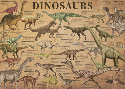 Dinosaur Puzzle 1000 Pieces for Adult, Vintage Dinosaur Jigsaw Puzzles Includes Major Dinosaur Groups, Animal Puzzle as Dinosaur Souvenir